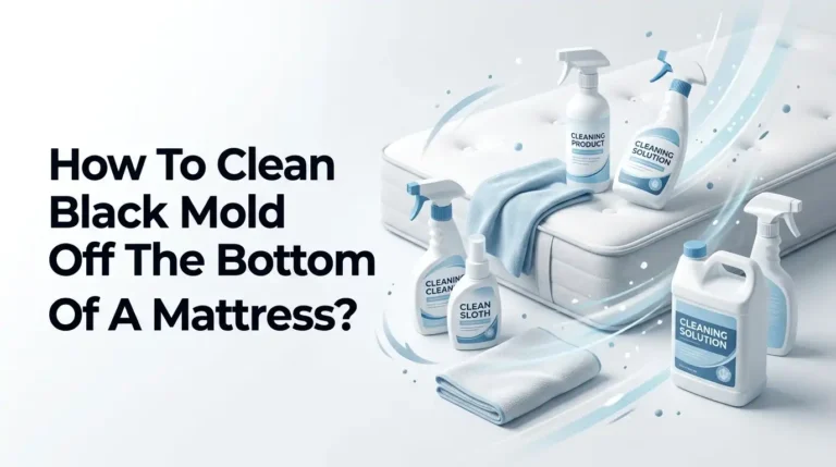 How To Clean Black Mold Off The Bottom Of A Mattress?